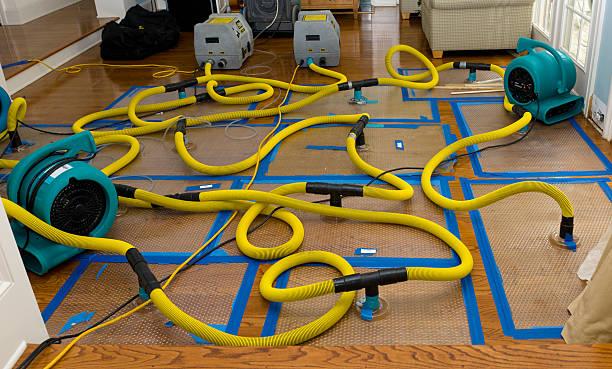 Professional Sewage Cleanup technician working in Dunlap, IA